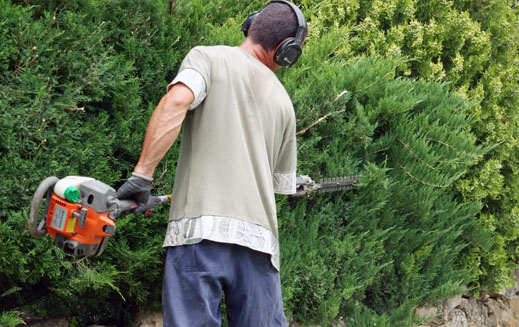 entretien des espaces verts carr